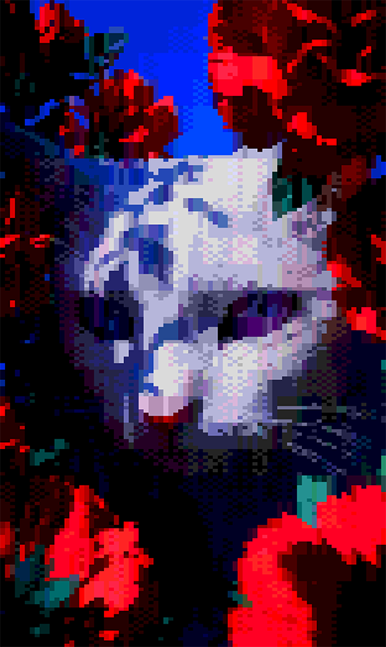 GATO ENTRE ROSAS